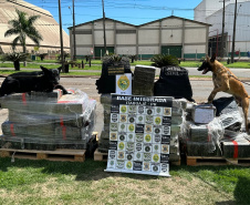  Cão farejador auxilia na apreensão de 1,4 tonelada de maconha