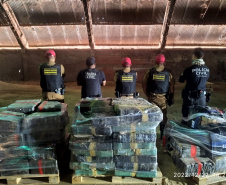  Cão farejador auxilia na apreensão de 1,4 tonelada de maconha