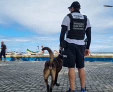 PCPR realiza fiscalização com auxílio de cães policiais no Litoral