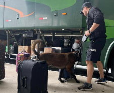 PCPR realiza fiscalização com auxílio de cães policiais no Litoral