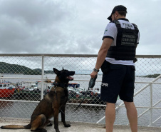 PCPR realiza fiscalização com auxílio de cães policiais no Litoral