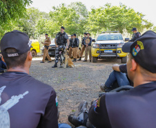  Base em Querência do Norte reforça integração das forças e reduz criminalidade no Noroeste