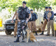  Base em Querência do Norte reforça integração das forças e reduz criminalidade no Noroeste