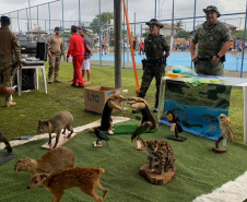 Sesp apresenta estrutura e serviços no evento Litoral Cidadão, em Guaratuba