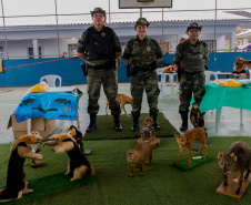  Exposição no Litoral apresenta forças de segurança e serviços à população