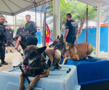 Cães da Polícia Penal são atração do Litoral Cidadão