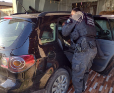  PCPR, PMPR e Guarda Municipal de Pontal do Paraná deflagram operação contra tráfico de drogas