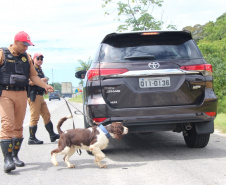 Cães da Polícia Rodoviária Estadual ajudam a garantir Carnaval mais seguro no Litoral