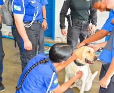 O alerta é que as drogas são a porta de entrada e um dos primeiros passos para inserção numa vida de crime. Além da apresentação, os alunos interagiram com os cães policiais. 