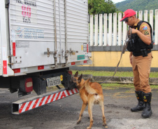 Cães da Polícia Rodoviária Estadual ajudam a garantir Carnaval mais seguro no Litoral