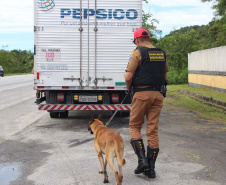 Cães da Polícia Rodoviária Estadual ajudam a garantir Carnaval mais seguro no Litoral