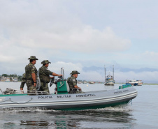 Pesca ilegal, desmatamento, animais em cativeiro: Força Verde atendeu 321 ocorrências na temporada