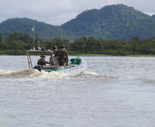 Pesca ilegal, desmatamento, animais em cativeiro: Força Verde atendeu 321 ocorrências na temporada