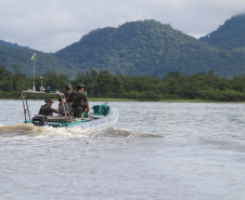 Pesca ilegal, desmatamento, animais em cativeiro: Força Verde atendeu 321 ocorrências na temporada