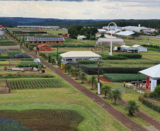 Pessoas privadas de liberdade participam de preparação do 35° Show Rural de Cascavel