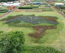 Pessoas privadas de liberdade participam de preparação do 35° Show Rural de Cascavel