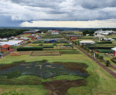 Pessoas privadas de liberdade participam de preparação do 35° Show Rural de Cascavel