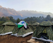 Paranaenses integram equipe brasileira enviada ao Chile para combater grandes incêndios