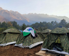 Paranaenses integram equipe brasileira enviada ao Chile para combater grandes incêndios