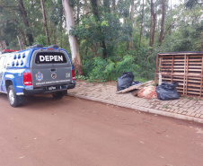Em Cascavel, pessoas privadas de liberdade auxiliam população no combate ao mosquito da dengue