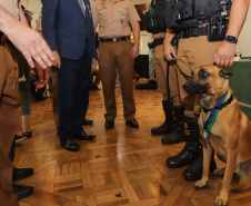 Casa Militar comemora 95 anos e condecora autoridades com medalhas de mérito