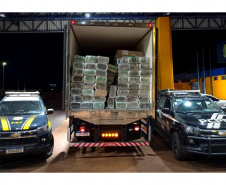 Em ação conjunta, PCPR e PRF apreendem mais de 1,9 tonelada de maconha em Cascavel