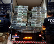 Em ação conjunta, PCPR e PRF apreendem mais de 1,9 tonelada de maconha em Cascavel