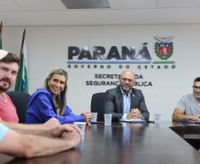 Secretário da segurança recebe deputada Flávia Francischini