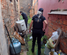 PCPR inicia operação de combate à violência contra as mulheres em todo o Estado