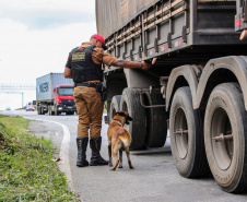 Polícia Rodoviária inicia operação para intensificar segurança nas estradas estaduais