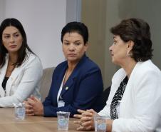 Secretário se reúne com Deputadas Estaduais para debater assuntos relacionado a segurança da Mulher 