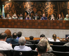 Secretário participa de audiência pública na Alep em homenagem ao Dia Estadual dos Consegs 