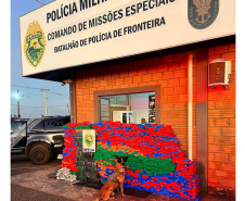 Polícia Militar apreende mais de uma tonelada de drogas no Oeste do Estado