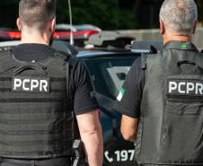  PCPR prende homem por tráfico de drogas e apreende 558 quilos de maconha em Cascavel 