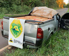 Operação integrada nas fronteiras e divisas resulta em 3,4 toneladas de drogas apreendidas