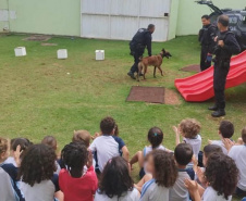 Projeto educativo sobre animais em CMEIs de Maringá tem apoio de cães da Polícia Penal