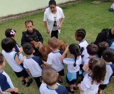 Projeto educativo sobre animais em CMEIs de Maringá tem apoio de cães da Polícia Penal