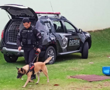 Projeto educativo sobre animais em CMEIs de Maringá tem apoio de cães da Polícia Penal