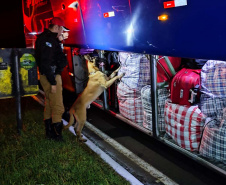 Operação integrada nas fronteiras e divisas resulta em 3,4 toneladas de drogas apreendidas