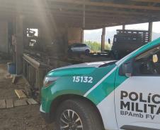 Operação conjunta combate comércio de madeira ilegal no Sul do Paraná