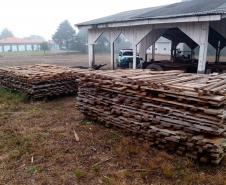 Operação conjunta combate comércio de madeira ilegal no Sul do Paraná