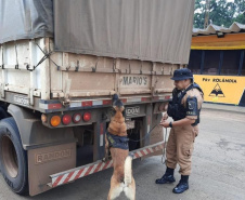  Com operação nas estradas, Estado garantiu transporte seguro da safra e atendeu motoristas