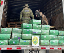 Polícia Militar prende homem com 700 quilos de maconha em Douradina