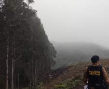 Polícia Militar resgata aves nativas e prende seis pessoas por crimes ambientais na RMC