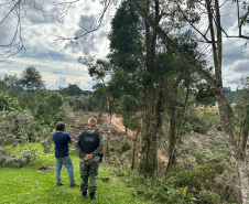 Polícia Militar resgata aves nativas e prende seis pessoas por crimes ambientais na RMC