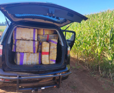 Polícia Militar apreende mais de uma tonelada de droga em Cascavel