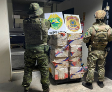  Forças de segurança apreendem 500 quilos de drogas em operações na região de fronteira