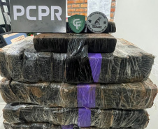  PCPR apreende 121 quilos de maconha e prende casal por tráfico de drogas em Mariópolis