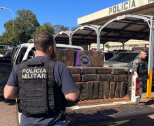 Apreensão de maconha aumenta 64% no Paraná nos primeiros cinco meses de 2023