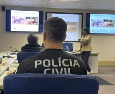 Delegado da PCPR participa de curso de Processamento de Crimes Ambientais em Botswana